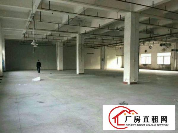
常平九江水新空出厂房1450平米