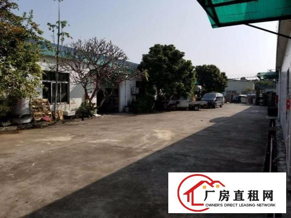 
常平上坑独院厂房出租单一层500至900平方配备齐全
