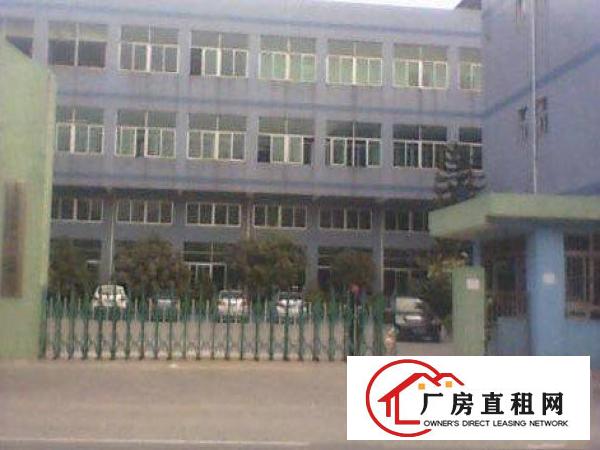 
常平金美各式独院厂房8500平米带办公楼1~4层2500