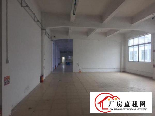 
常平九江水820平精装厂房出租