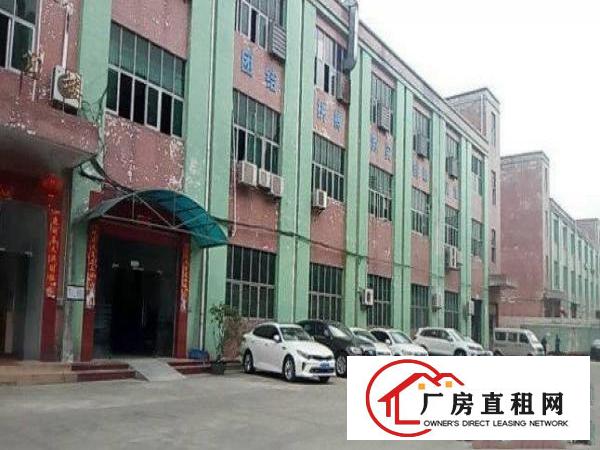 
常平朗贝新出楼上1000平带装修厂房出租