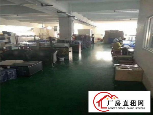 
常平岗梓新出楼上800平精装修厂房招租
