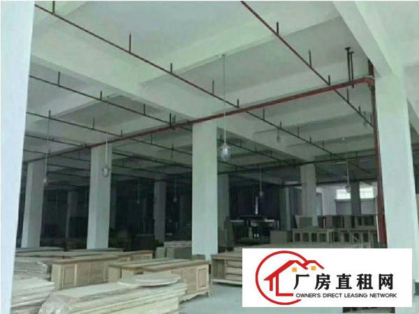 
常平白石岗新出标准独院2000平环境优美