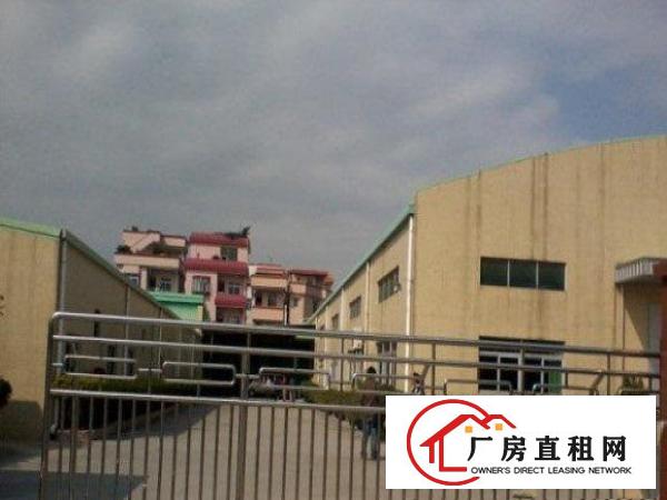 
常平金美单一层厂房1000平方带行车出租