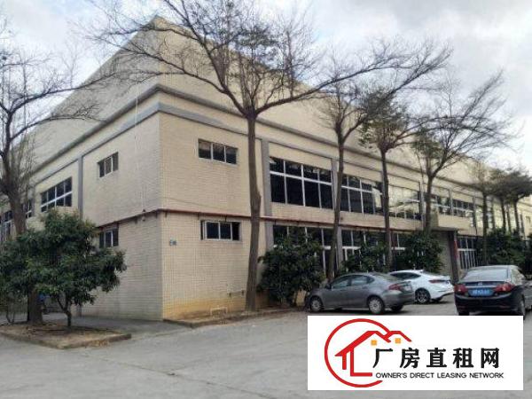 
常平塘角4000平方米单一层标准钢构