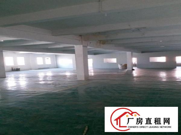 
常平大道旁独栋标准厂房3000平米