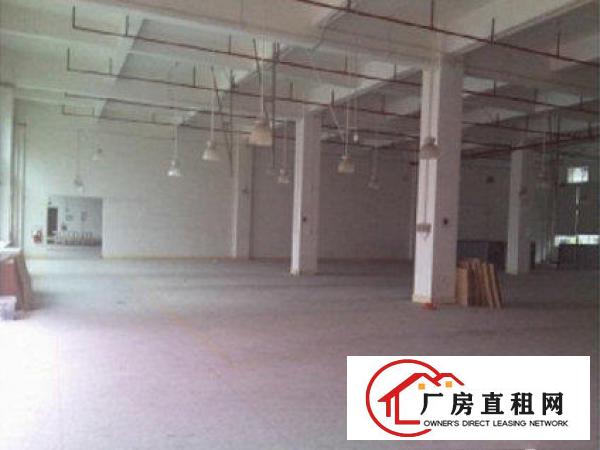
常平霞坑一楼厂房800平米带办公水电出租