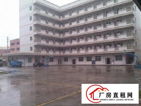 
常平漱新一楼厂房800平米带办公水电出租