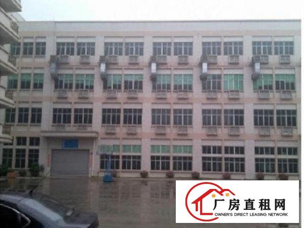 
常平漱新一楼厂房800平米带办公水电出租