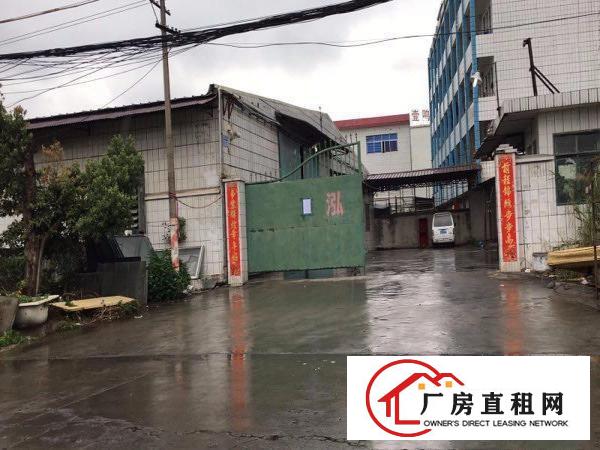 
出租常平常黄路桥沥独院厂房（厂房高6.5米）