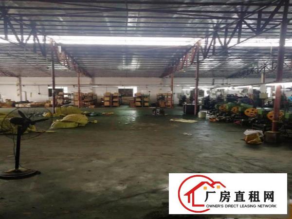 
出租常平常黄路桥沥独院厂房（厂房高6.5米）