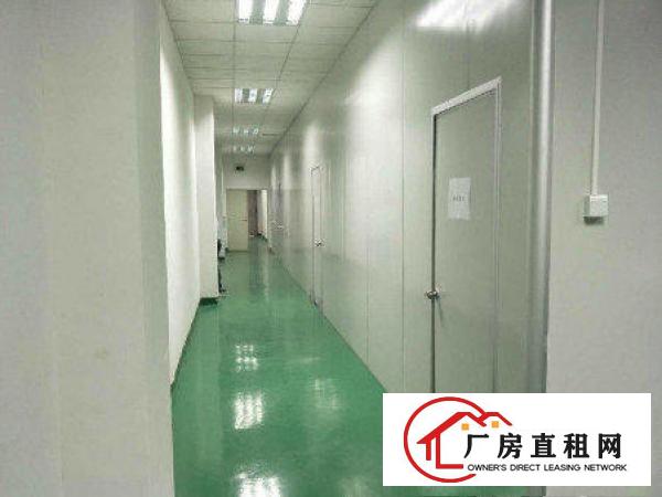 
常平卢屋新出700平米厂房豪华装修招租