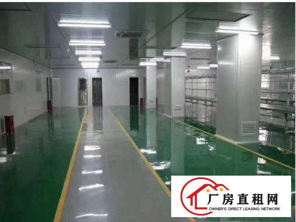 
常平朗贝楼上整层2500平米豪华装修厂房招租