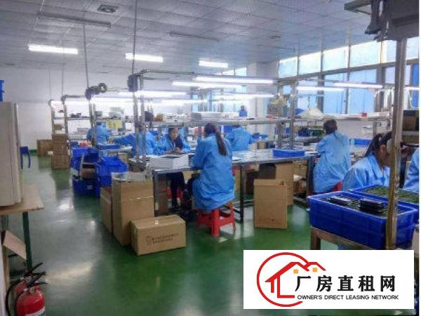 
常平还珠沥新出独院一楼二楼各750平米带装修厂房招租