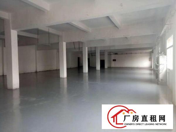 
独门独院，电可过户，标准厂房2800，三层，宿舍1000