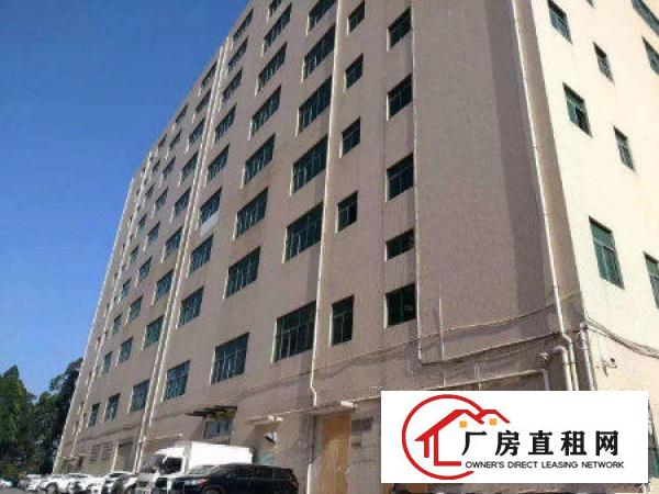 
常平横江厦楼上整层2500平米豪华装修厂房招租