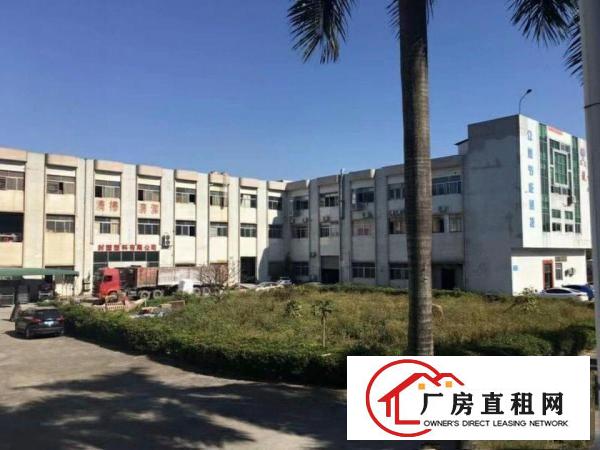 
大量国有证，集体证标准独院厂房出租！