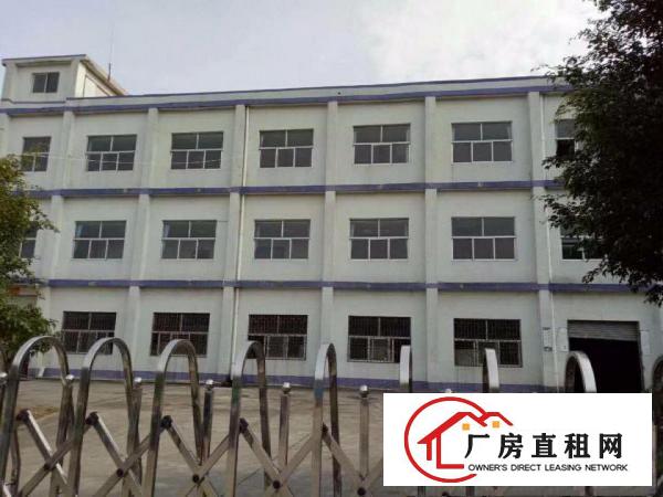 
大量国有证，集体证标准独院厂房出租！