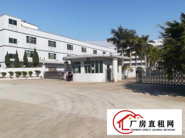 
大量国有证，集体证标准独院厂房出租！