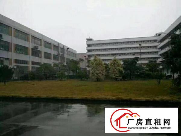 
大量国有证，集体证标准独院厂房出租！