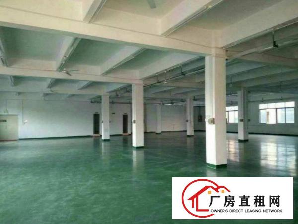 
常平卢屋工业区二楼精装修厂房950平米出租空地大