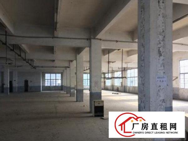 
常平板石村新出标准厂房二楼2000平