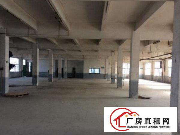 
常平板石村新出标准厂房二楼2000平