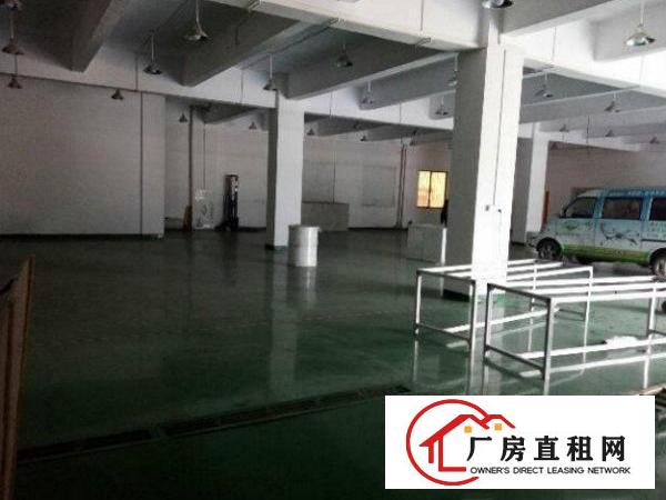 
常平上坑原房东一楼带地坪漆办公室水电600平