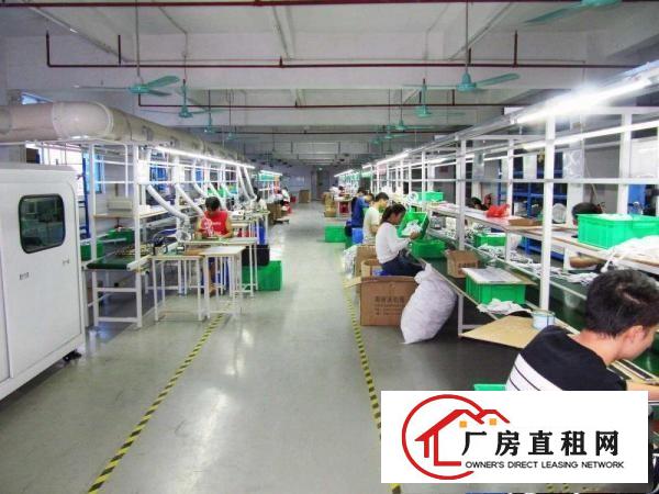 
出租常平标准厂房全新装修全新消防设施及喷淋已办环评