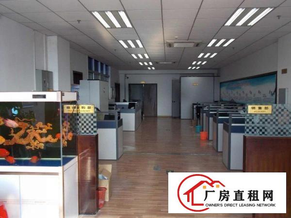 
出租常平标准厂房全新装修全新消防设施及喷淋已办环评