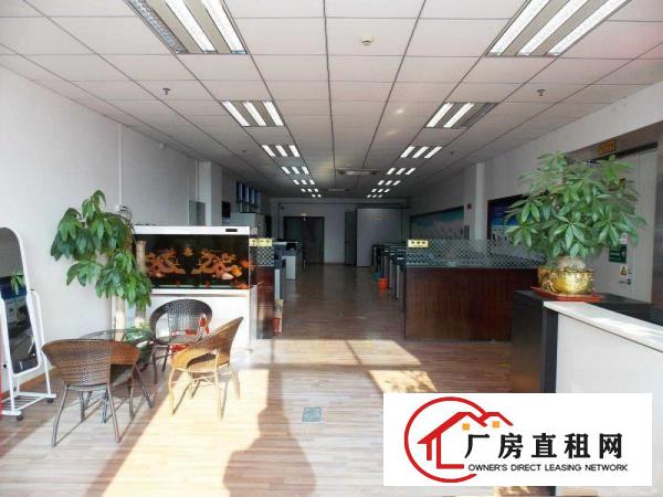 
出租常平标准厂房全新装修全新消防设施及喷淋已办环评