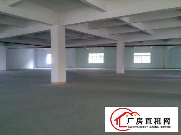 
桥沥招租独门独院标准三层一楼带行车3800平方