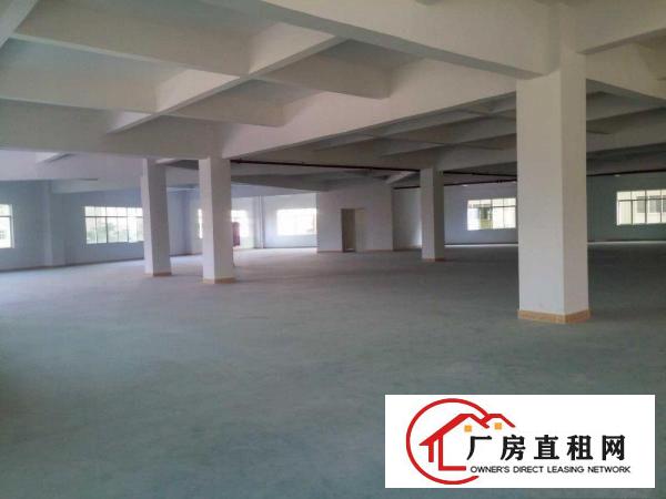
桥沥招租独门独院标准三层一楼带行车3800平方