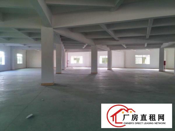 
桥沥招租独门独院标准三层一楼带行车3800平方