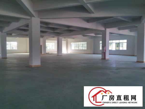 
桥沥招租独门独院标准三层一楼带行车3800平方