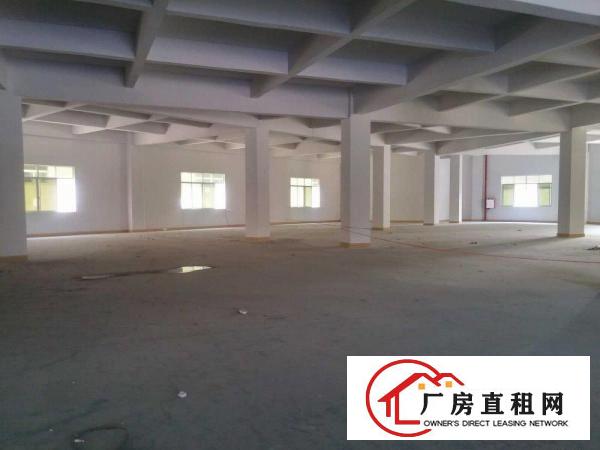 
桥沥招租独门独院标准三层一楼带行车3800平方