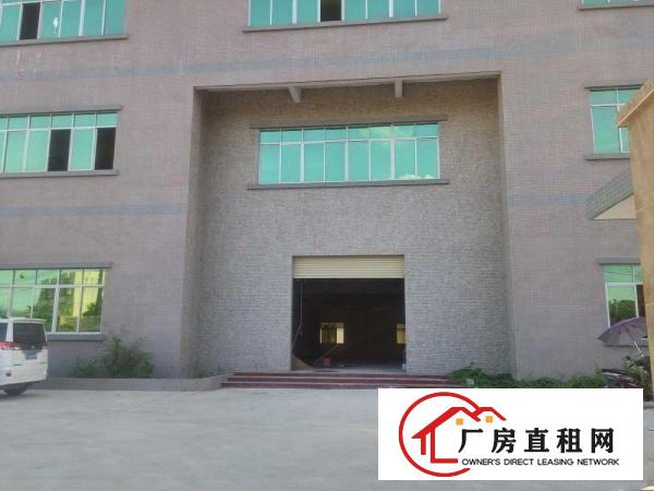 
桥沥招租独门独院标准三层一楼带行车3800平方