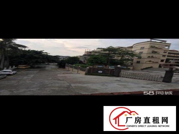 
横江厦元江元嘉盛学校门口厂房360平米