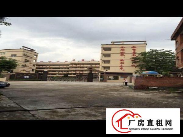 
横江厦元江元嘉盛学校门口厂房360平米