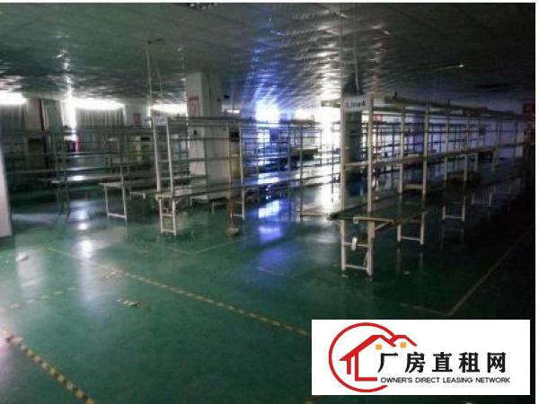 
常平还珠沥新出楼上2500平全新装修厂房招租