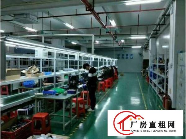 
常平金美附近2500平米带装修厂房出租
