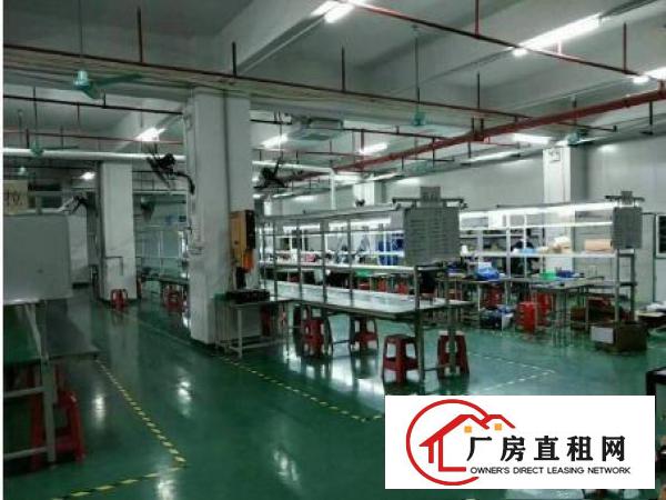
常平金美附近2500平米带装修厂房出租
