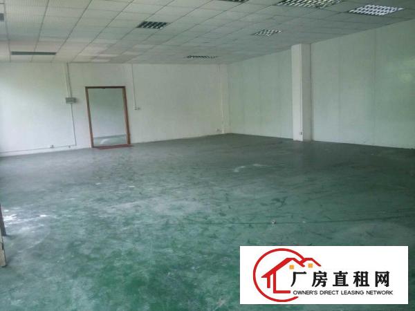 
桥沥招租标准一楼厂房1200平方可做塑胶行业