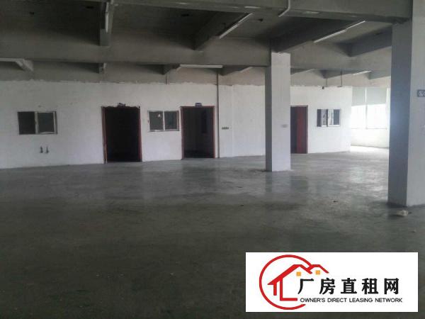 
桥沥招租标准一楼厂房1200平方可做塑胶行业