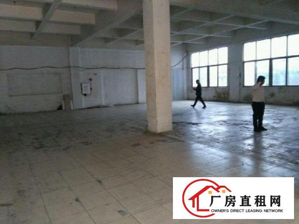 
土塘标准厂房一楼厂房360平米