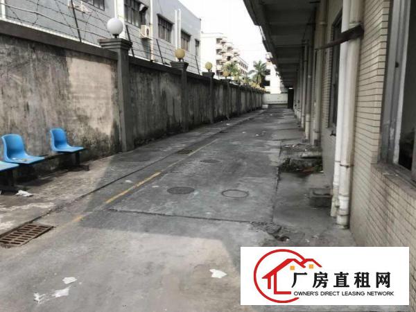 
出租常平天鹅湖一楼厂房