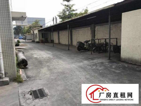 
出租常平天鹅湖一楼厂房