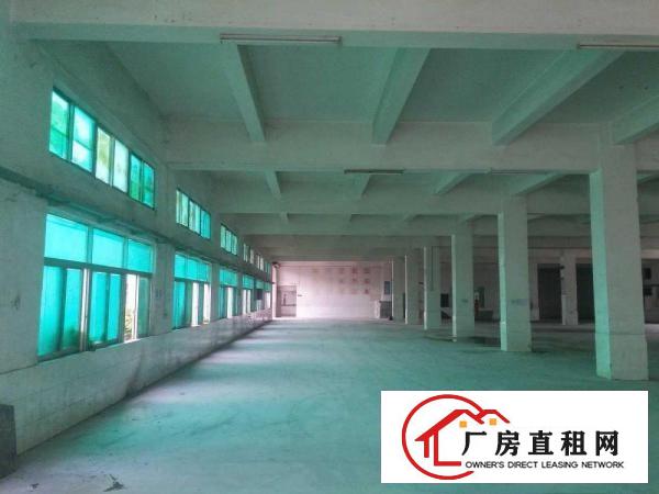 
土塘招租独门独院标准厂房4000平方原房东直招