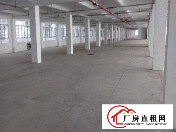 
岗梓招租一楼2500平方厂房可做五金塑胶类行业