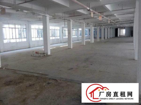 
岗梓招租一楼2500平方厂房可做五金塑胶类行业